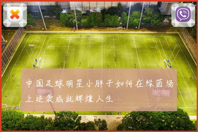 中国足球明星小胖子如何在绿茵场上逆袭成就辉煌人生