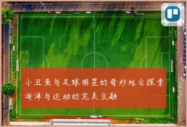 小丑鱼与足球明星的奇妙结合探索海洋与运动的完美交融