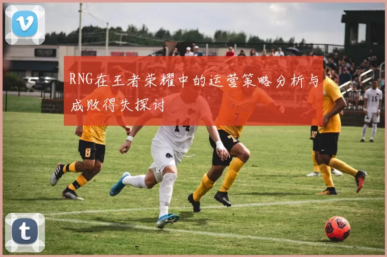 RNG在王者荣耀中的运营策略分析与成败得失探讨