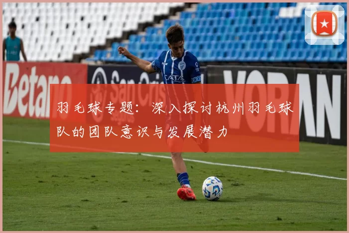 羽毛球专题：深入探讨杭州羽毛球队的团队意识与发展潜力