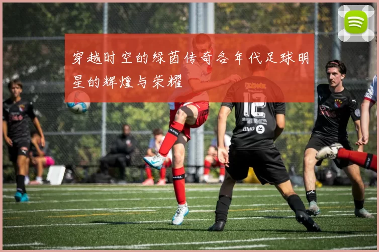 穿越时空的绿茵传奇各年代足球明星的辉煌与荣耀