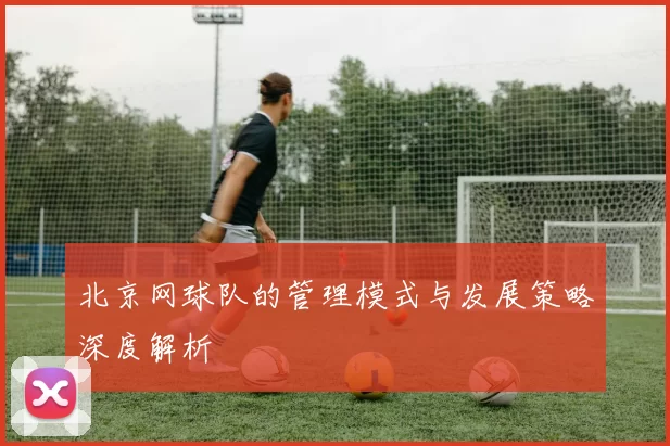 北京网球队的管理模式与发展策略深度解析