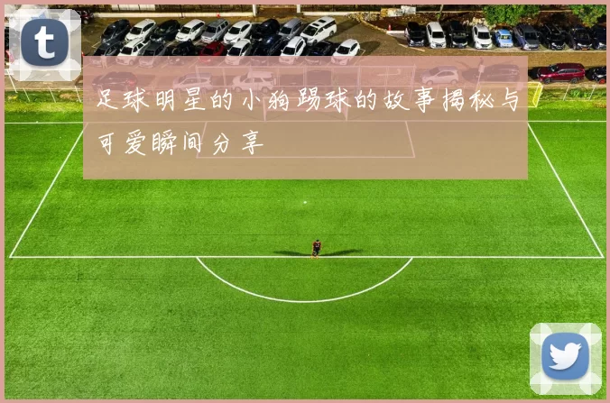 足球明星的小狗踢球的故事揭秘与可爱瞬间分享
