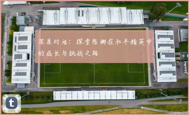 深度对话：探索陈娜在和平精英中的成长与挑战之路
