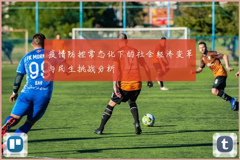 疫情防控常态化下的社会经济变革与民生挑战分析