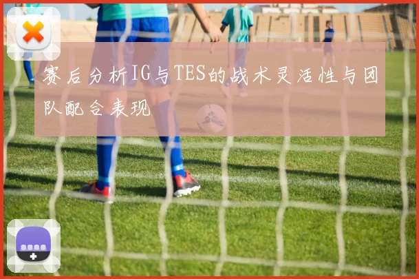 赛后分析IG与TES的战术灵活性与团队配合表现
