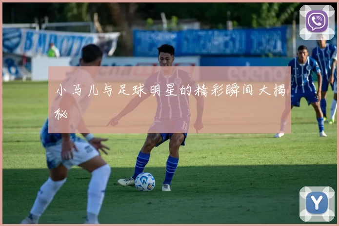 小马儿与足球明星的精彩瞬间大揭秘