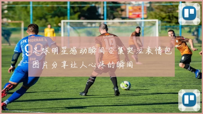 足球明星感动瞬间合集哭泣表情包图片分享让人心疼的瞬间