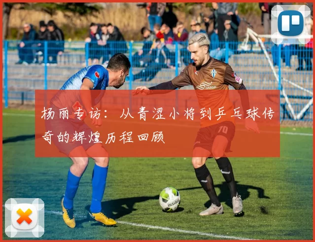 杨丽专访：从青涩小将到乒乓球传奇的辉煌历程回顾