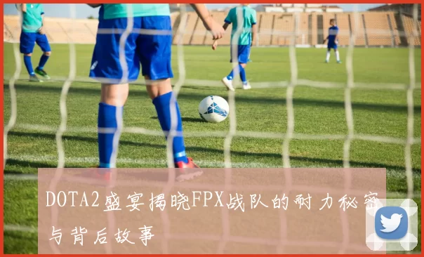 DOTA2盛宴揭晓FPX战队的耐力秘密与背后故事