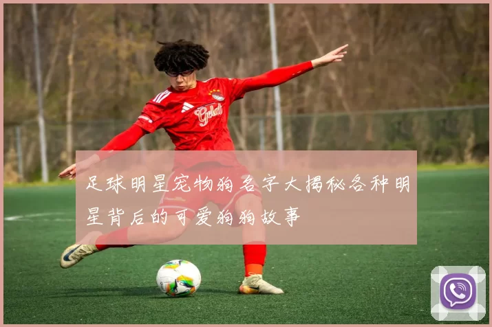 足球明星宠物狗名字大揭秘各种明星背后的可爱狗狗故事