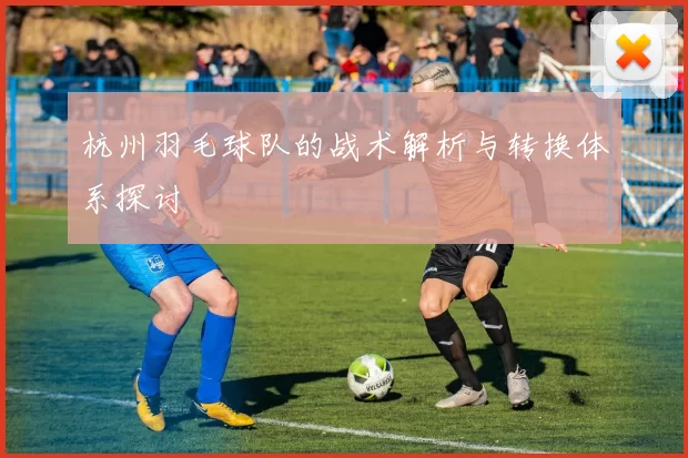 杭州羽毛球队的战术解析与转换体系探讨