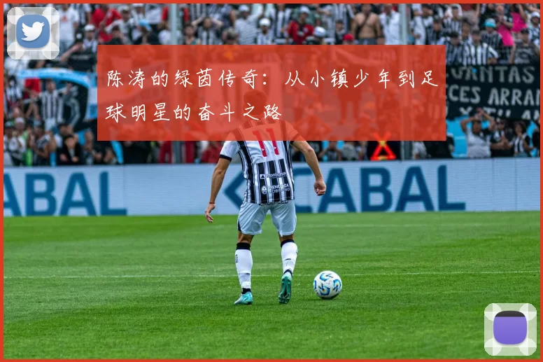 陈涛的绿茵传奇：从小镇少年到足球明星的奋斗之路