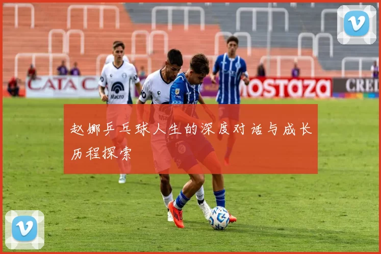 赵娜乒乓球人生的深度对话与成长历程探索