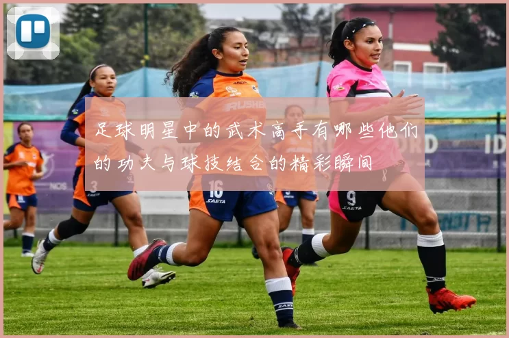 足球明星中的武术高手有哪些他们的功夫与球技结合的精彩瞬间