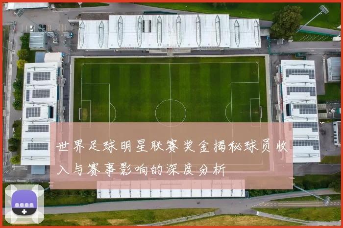 世界足球明星联赛奖金揭秘球员收入与赛事影响的深度分析