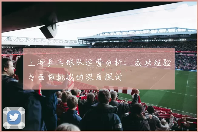上海乒乓球队运营分析：成功经验与面临挑战的深度探讨
