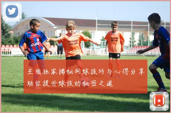 王丽独家揭秘网球技巧与心得分享助你提升球技的秘密之道