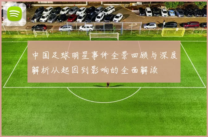 中国足球明星事件全景回顾与深度解析从起因到影响的全面解读