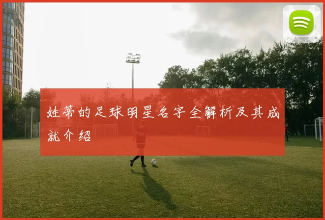 姓蒂的足球明星名字全解析及其成就介绍
