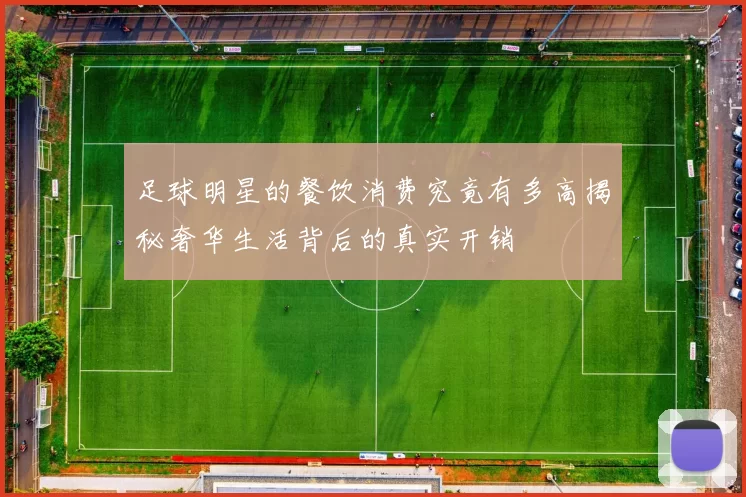 足球明星的餐饮消费究竟有多高揭秘奢华生活背后的真实开销