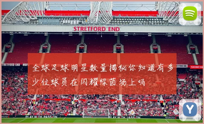 全球足球明星数量揭秘你知道有多少位球员在闪耀绿茵场上吗
