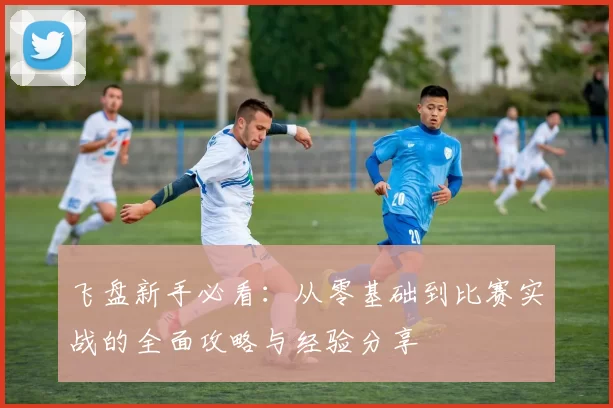 飞盘新手必看：从零基础到比赛实战的全面攻略与经验分享