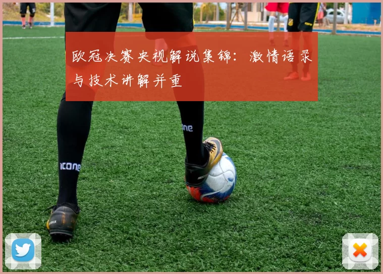 欧冠决赛央视解说集锦：激情语录与技术讲解并重