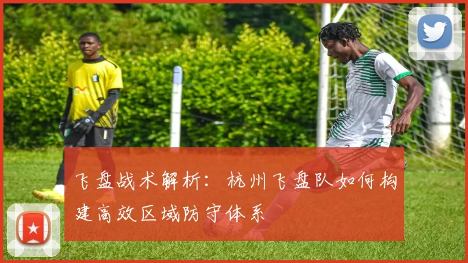飞盘战术解析：杭州飞盘队如何构建高效区域防守体系