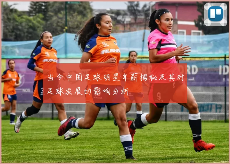 当今中国足球明星年薪揭秘及其对足球发展的影响分析