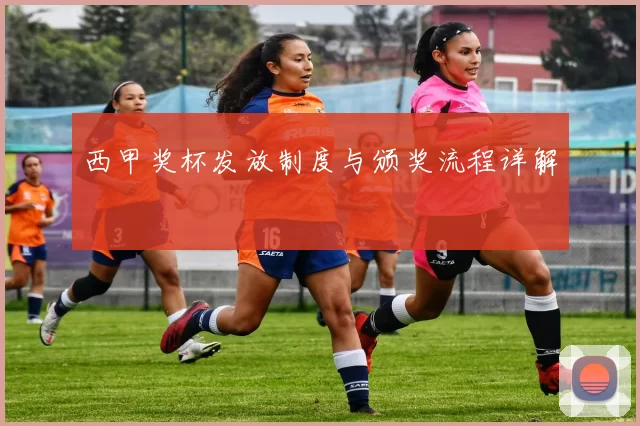 西甲奖杯发放制度与颁奖流程详解