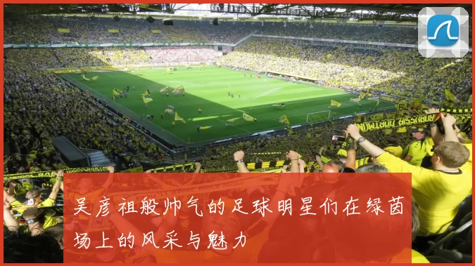 吴彦祖般帅气的足球明星们在绿茵场上的风采与魅力