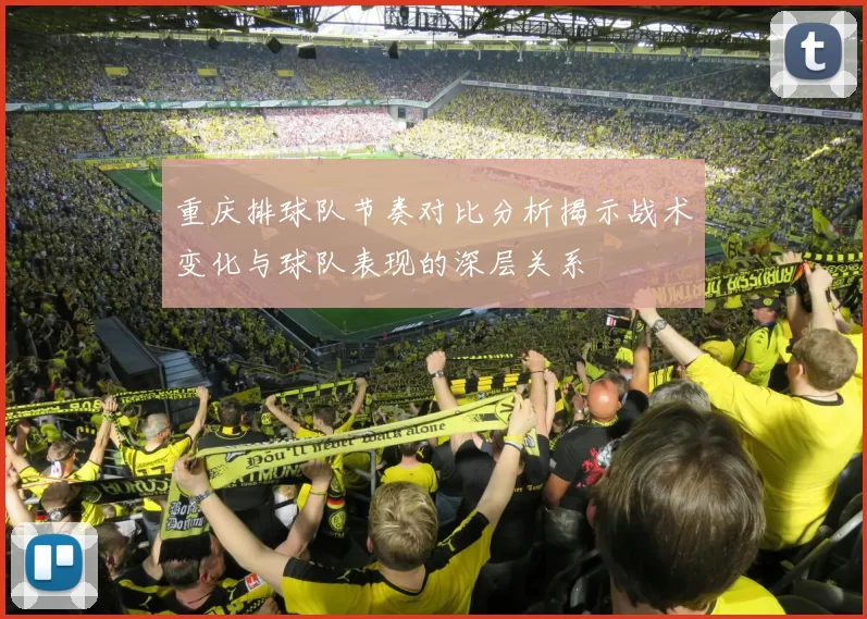重庆排球队节奏对比分析揭示战术变化与球队表现的深层关系
